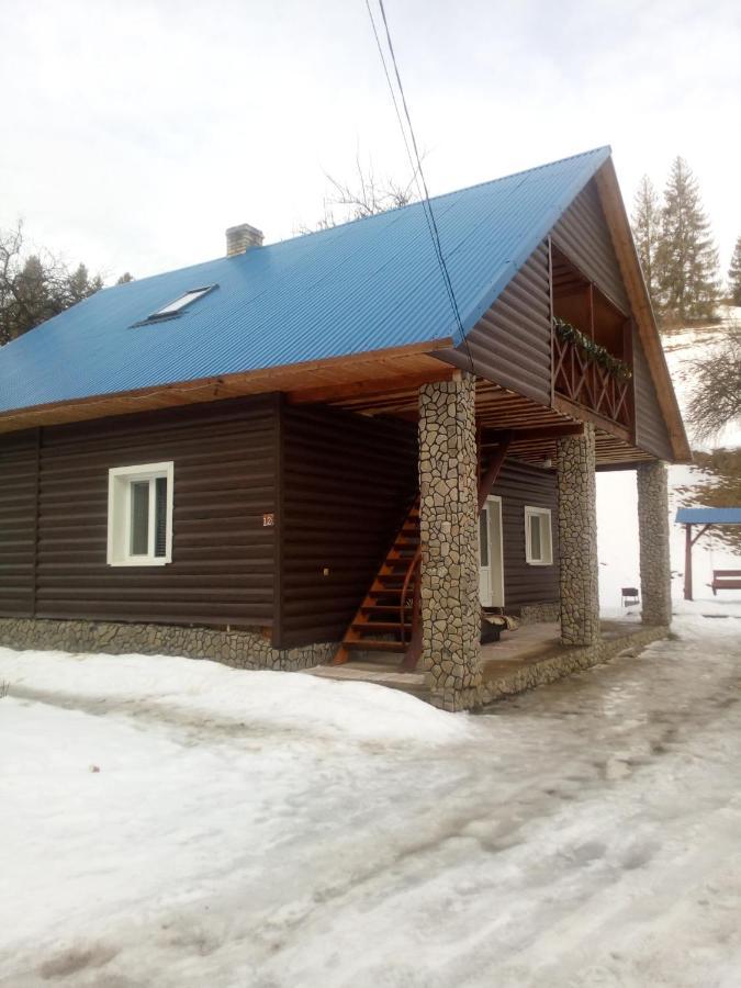 "Відпочинок В Карпатах" Villa Izki Exterior photo