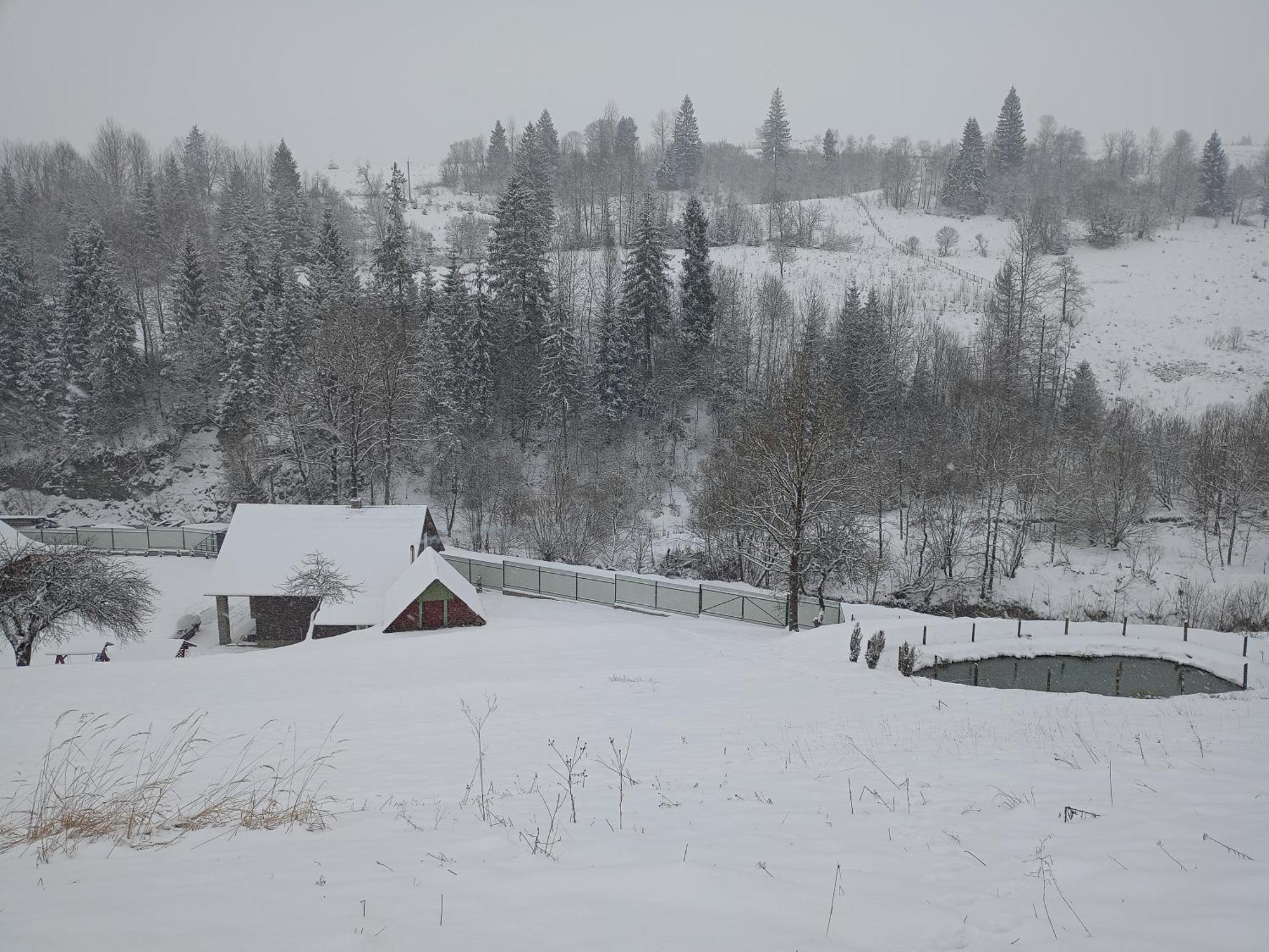 "Відпочинок В Карпатах" Villa Izki Room photo
